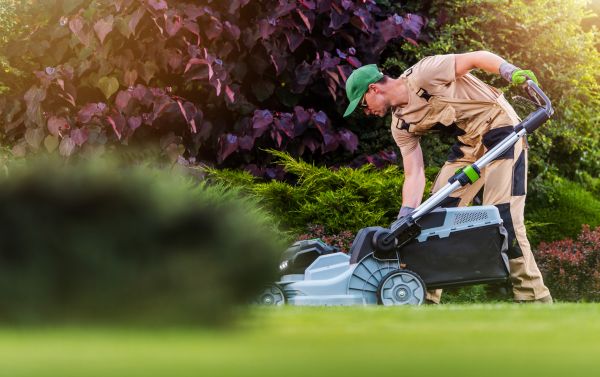 Lawn Care And Maintenance in Fort Smith