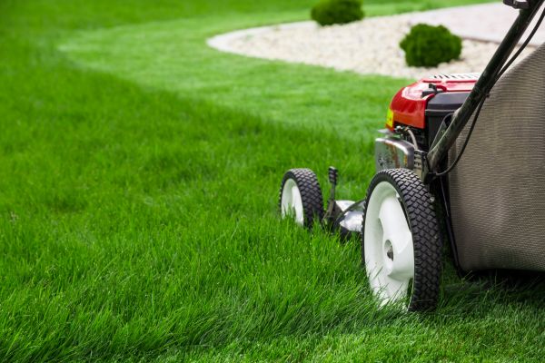 Mowing Service in Fort Smith