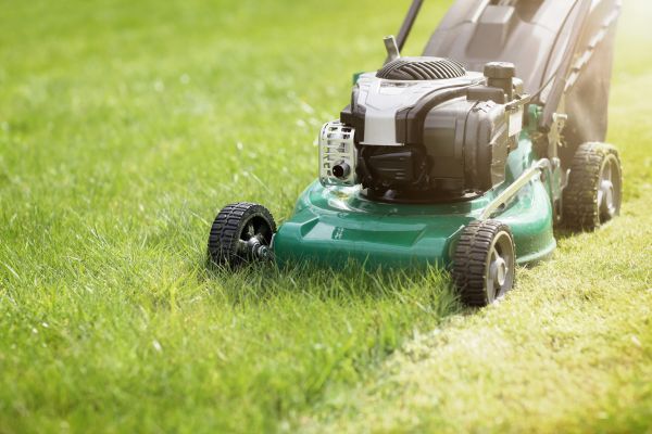 Cost of Yard Cutting in Fort Smith