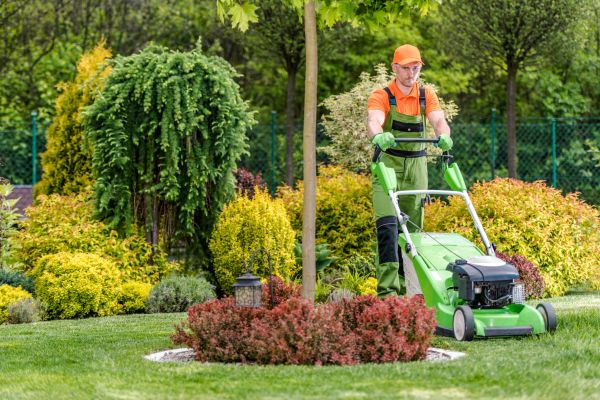 Yard Service in Fort Smith