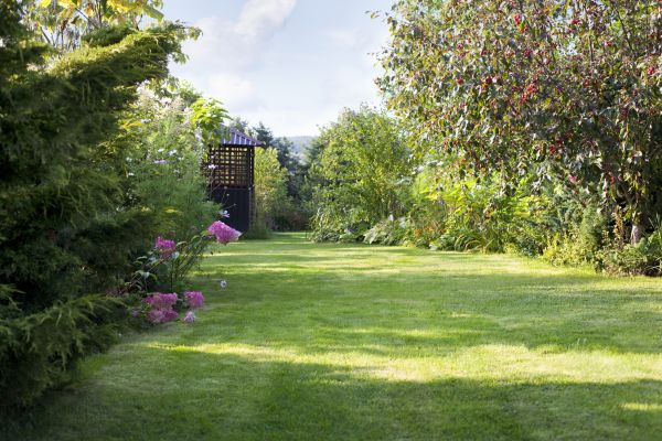Cost of Yard Upkeep Service in Fort Smith