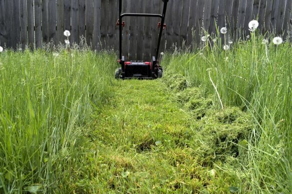High Grass Mowing in Fort Smith