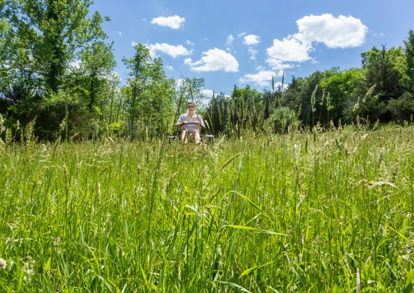 Long Grass Mowing in Fort Smith