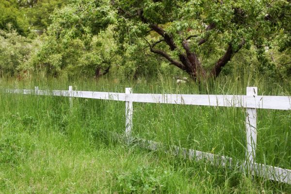 Cost of Fence Line Trimming in Fort Smith