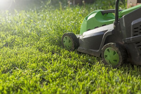 Cost of Lot Mowing in Fort Smith