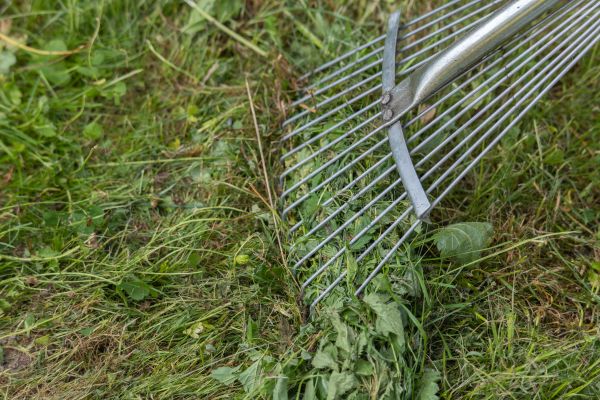 Thatch Raking in Fort Smith