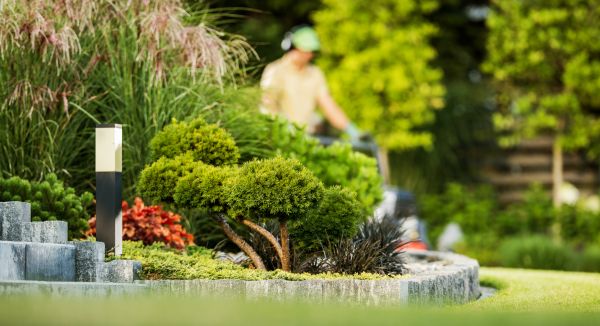 Residential Yard Maintenance in Fort Smith