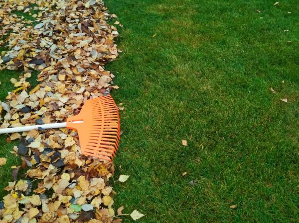 Fall Lawn Care in Fort Smith