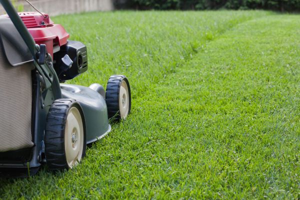 Spring Lawn Maintenance in Fort Smith