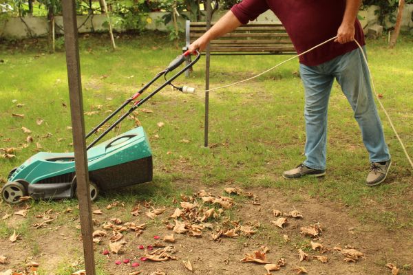 Leaves Mowing in Fort Smith