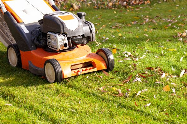 Cost of Fall Mowing in Fort Smith